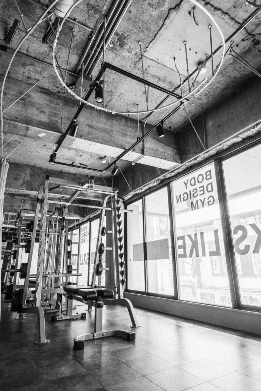 LooksLikeの様子写真